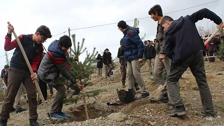 'Elazığ´da ''Ağacımla büyüyorum, kendi seramda üretiyorum´ projesi'