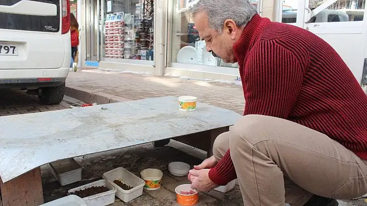 'Esnaf, sokak hayvanlarına sahip çıkıyor'