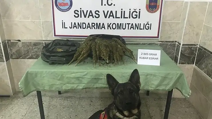 'Uyuşturucu taciri Geçim´i geçemedi'