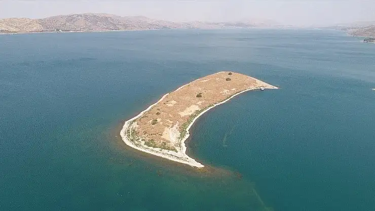 'Gölün ortasındaki ada ''Tavşanlara'' ev sahipliği yapıyor'
