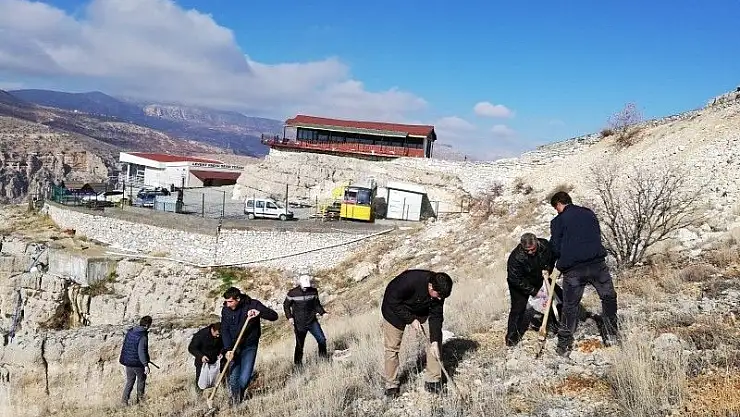 'Levent Vadisi´ne meşe palamudu dikildi'