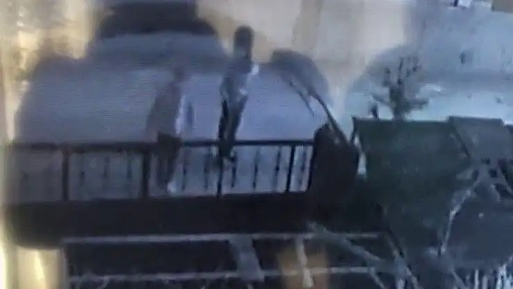 'Etrafı kontrol edip tavuk ve horozları çaldılar'