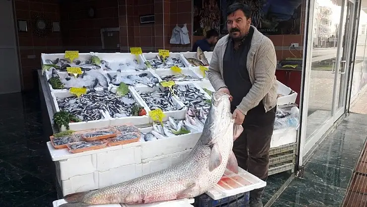 'Atatürk Barajında balıkçıların oltasına takıldı'