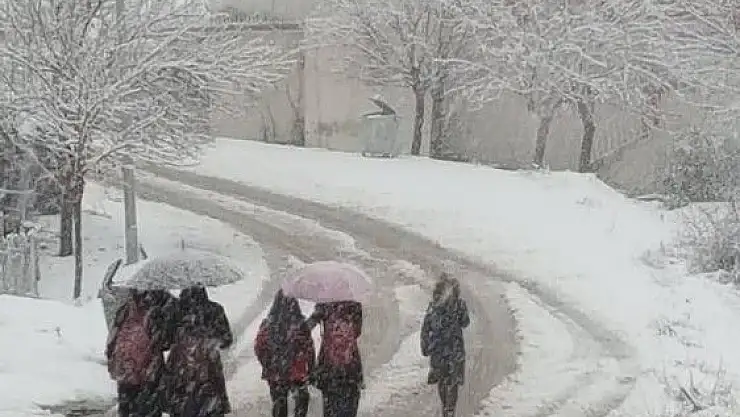 'Sincik ilçesinde okullar 1 gün tatil edildi'