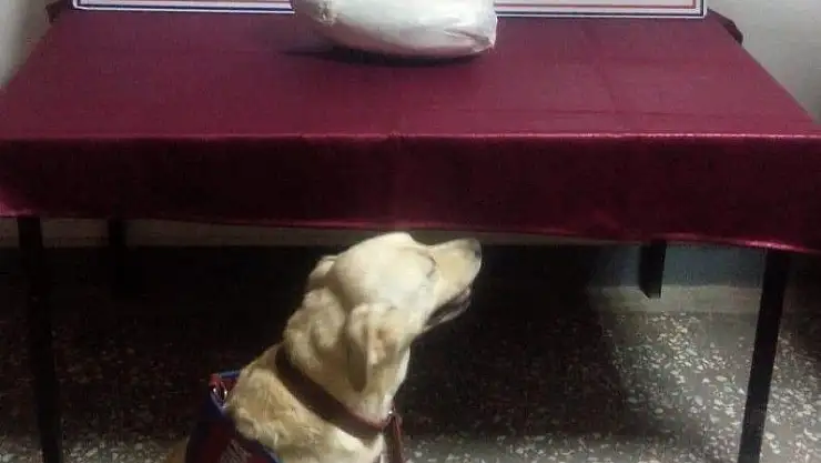 'Adıyaman´da uyuşturucu madde ele geçirildi'