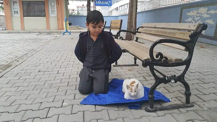 'Küçük Yusuf´un büyük sevgisi'