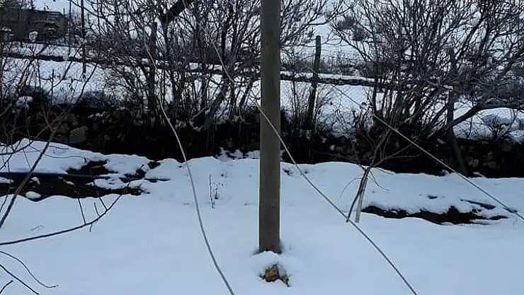 'Kar elektrik ve telefon direklerini devirdi'