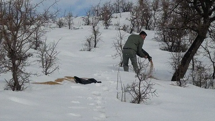 'Yaban hayvanlarına yem bırakıldı'