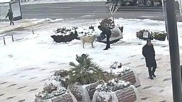 'Elazığ´da örnek davranış, kahvaltısını köpeğe verdi'