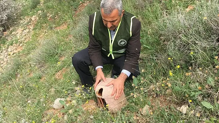 'Kafes avcılığına göz açtırılmıyor'