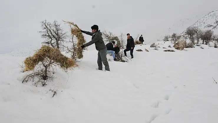 'Yaban hayvanlarına yem bırakıldı'