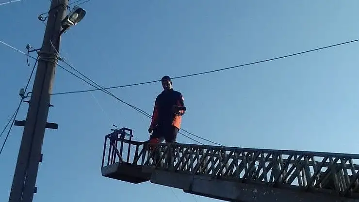 'Elektrik teline takılan güvercin kurtarıldı'