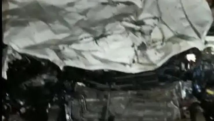 'Otomobil yola çıkan atlara çarptı, 3´ü telef oldu'