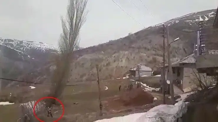 'Kestiği ağacın altında kalmaktan sonra kurtuldu'