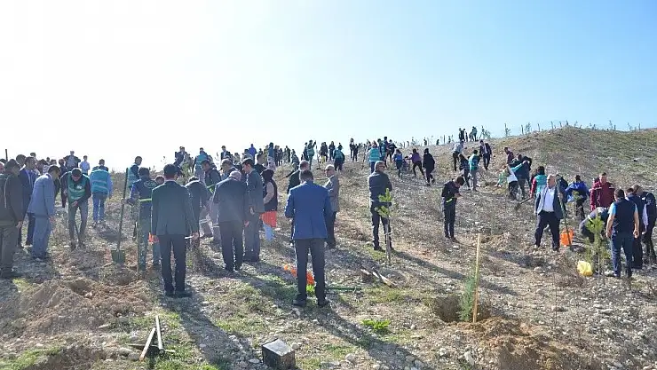 'Kahramanmaraş´ta Adalet Ormanı kuruldu'