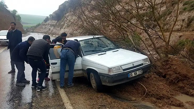 'Yola düşen ağaç kazaya neden oldu'