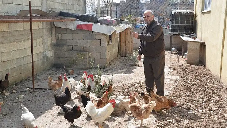 'Sanayi esnafından organik üretim'
