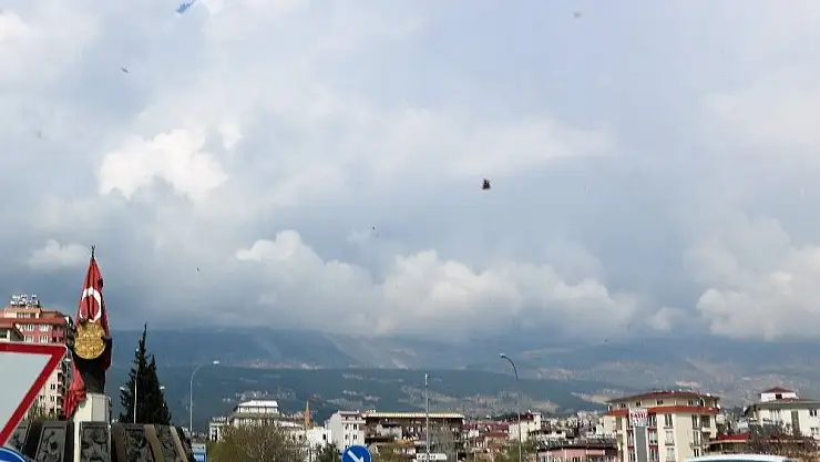 'Kahramanmaraş´ı kelebekler bastı'