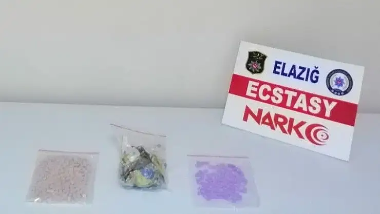 'Uyuşturucu haplarla yakalanan 2 şüpheli tutuklandı'