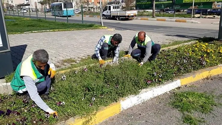 'Adıyaman Belediyesi´nden yabani otlarla mücadele'