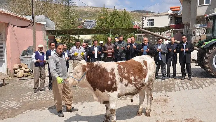 'Mahalle sakinleri, bereket ve bolluk için kurban kesti'