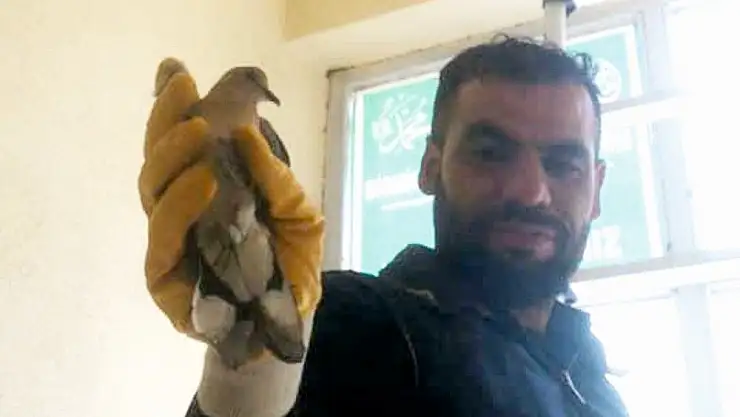'Bina girişinde mahsur kalan kuş itfaiye eri tarafından kurtarıldı'