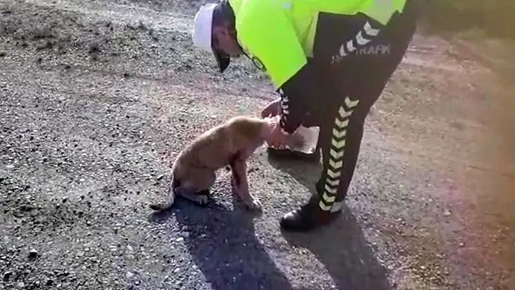 'Kafasına geçirilen bidonla dolaşan köpeği polis kurtardı'