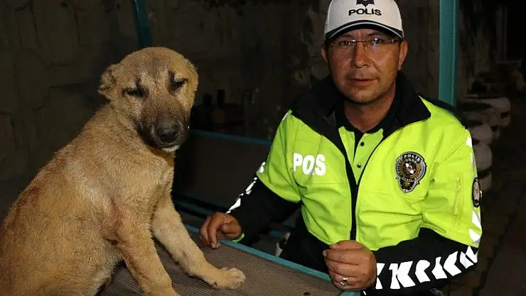 'Yaralı köpeğe polis sahip çıktı'