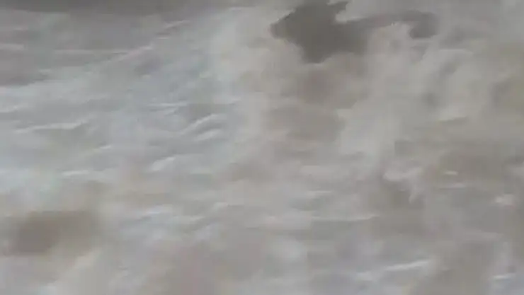 'Dere coştu, inekler suda kayboldu'
