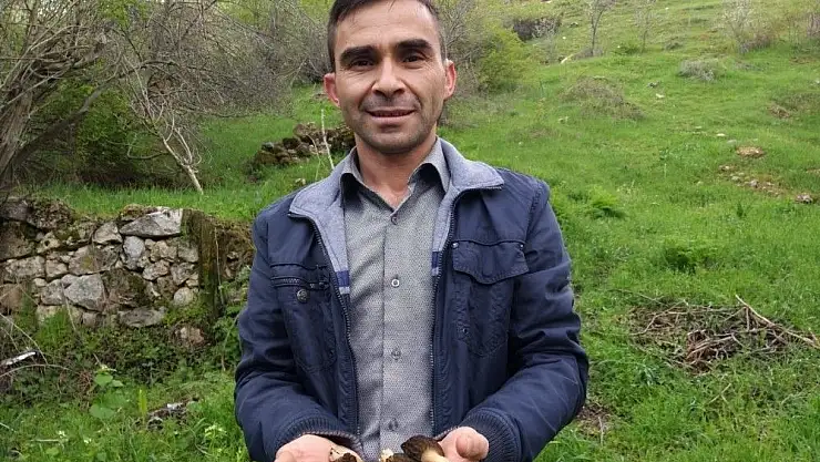 'Piknikte tesadüfen bulundu, fiyatı cep yakıyor'