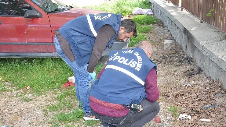 'Toprağa gömülen cenini, köpekler bulup çıkardı'
