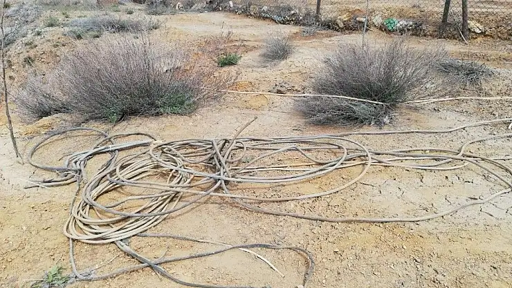 'Madenden elektrik kablosu çalarken yakalandılar'