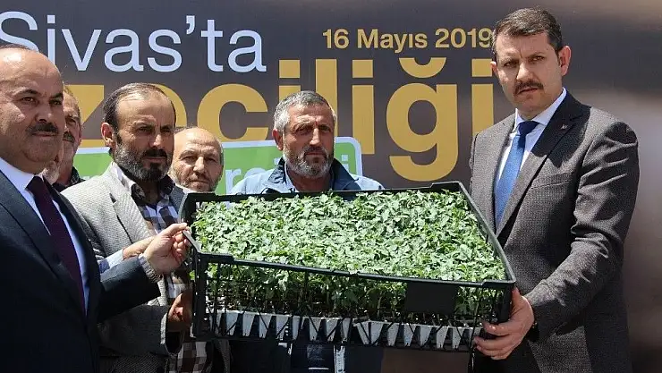 'Sivas´ta sebze fidesi dağıtıldı'