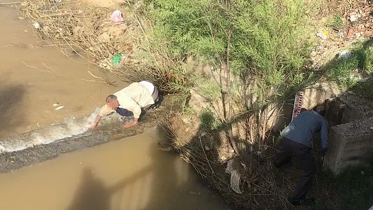 'Akıntıya karşı yüzerken görüntülenmişlerdi, bazı kişiler elleri ile avladı'