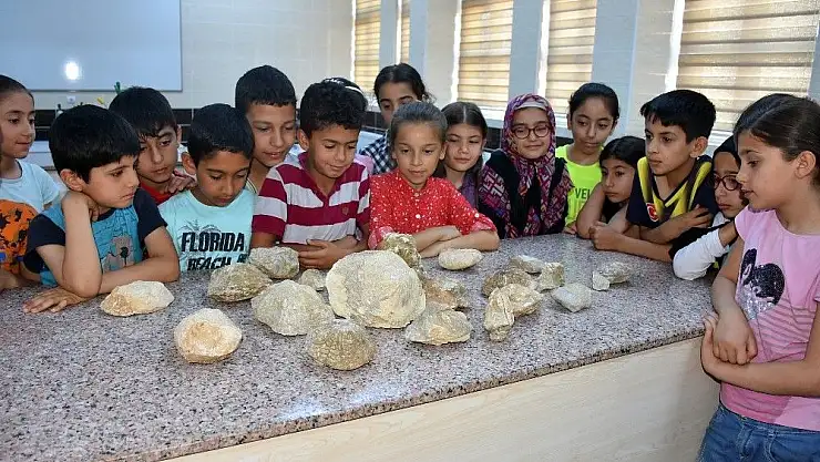 'Öğrenciler 70 milyon yıllık fosilleri dokunarak inceledi'