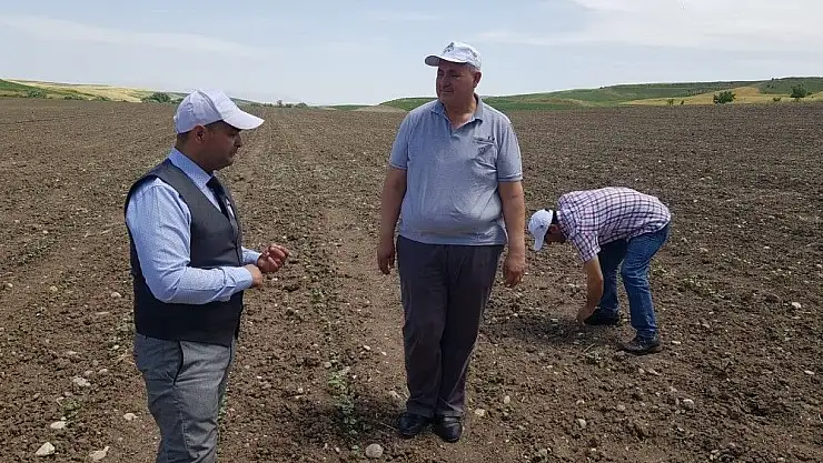 'Pamuk üreticisine destekleme priminde ''sınırlama'' tepkisi'