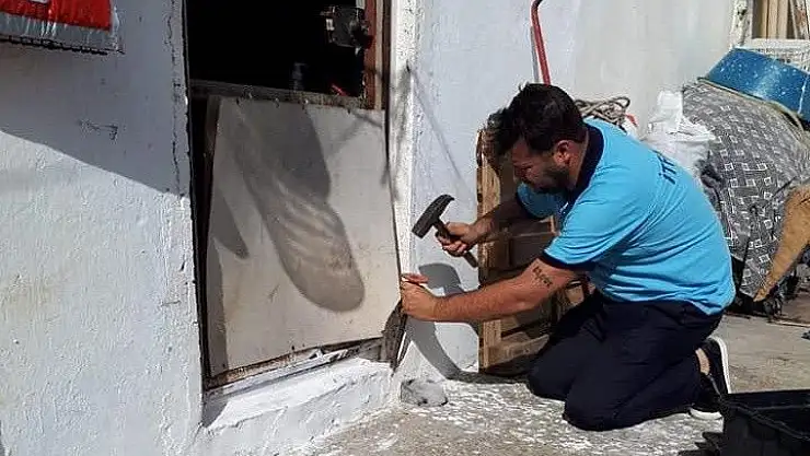 'Kafası duvara sıkışan kedi kurtarıldı'