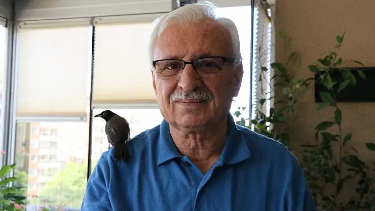 'Yolda bulduğu yavru kargaya gözü gibi bakıyor'