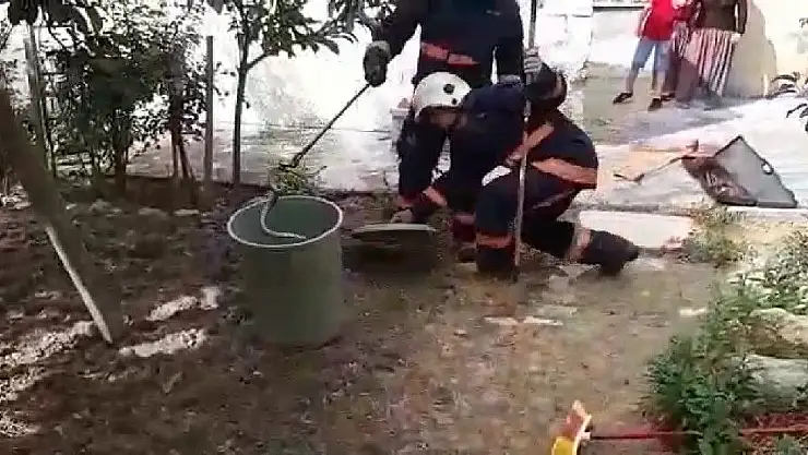 'Evin bahçesine giren yılan yakalanarak doğaya bırakıldı'