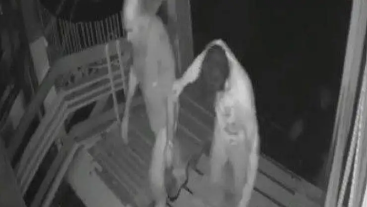 'Görevliyi darp edip, cep telefonlarını çaldı'