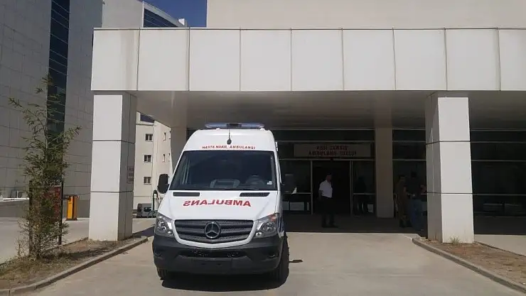 'Ağaca düşen yıldırım karı kocayı yaraladı'