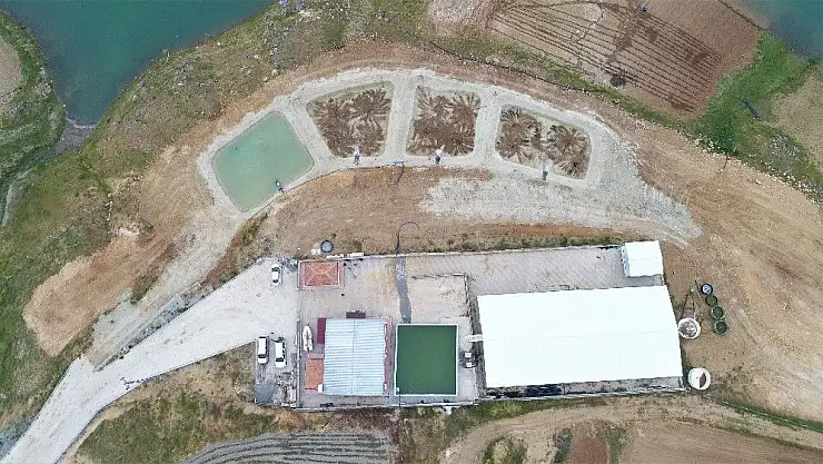 'Bölgenin en büyük AR-GE tesisinde, balıklar üretime alınıyor'