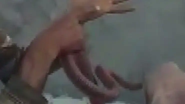 'Yakaladığı yılana elini ısırttı'