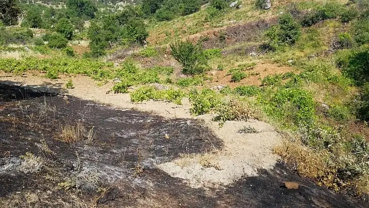 'Semaverden yangın çıktı'