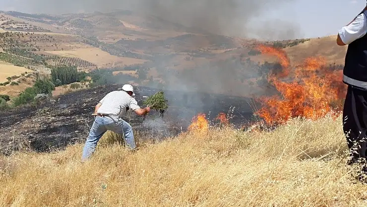'Anız yangını bağa sıçramadan söndürüldü'