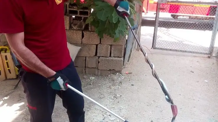 'İkamette giren yılan paniğe neden oldu'