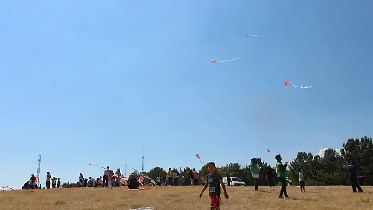 'Yetim çocuklar uçurtma şenliğinde buluştu'
