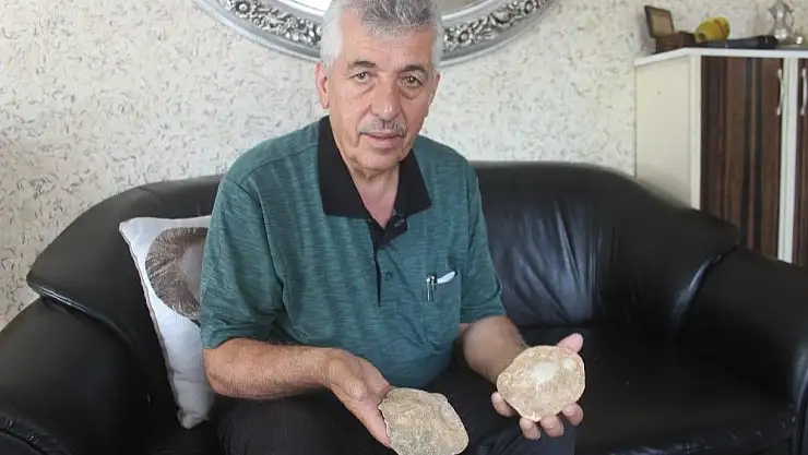 'Kahramanmaraş´ta 35 milyon yıllık fosil bulundu'