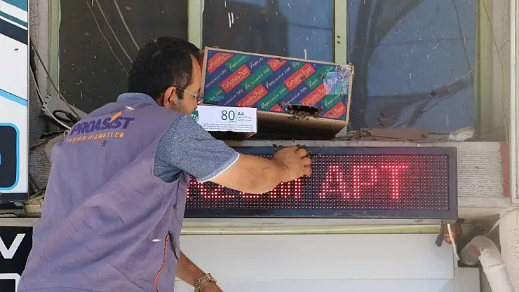 'Sivas´ta arı paniği'
