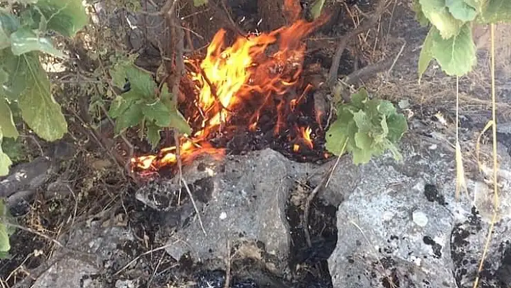 'Sincik ilçesinde orman yangını'